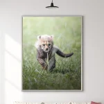 Safari Baby - Zidna slika