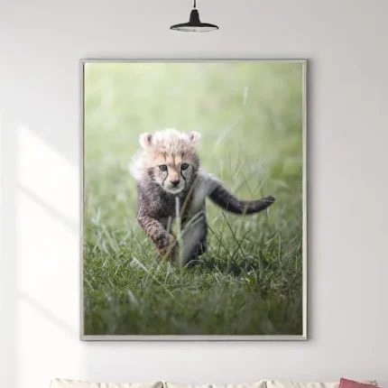 Safari Baby - Zidna slika